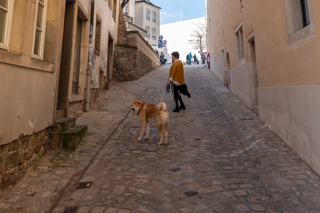 A woman walking her dog in Luxembourg City